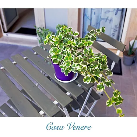 بيت ضيافة Casa Venere